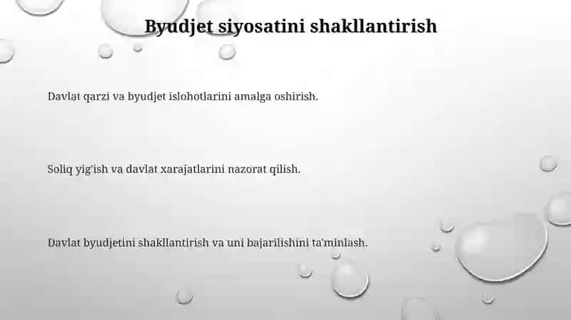 Oʼzbekiston Respublikasi Moliya vazirligining funksiya va vazifalar 3
