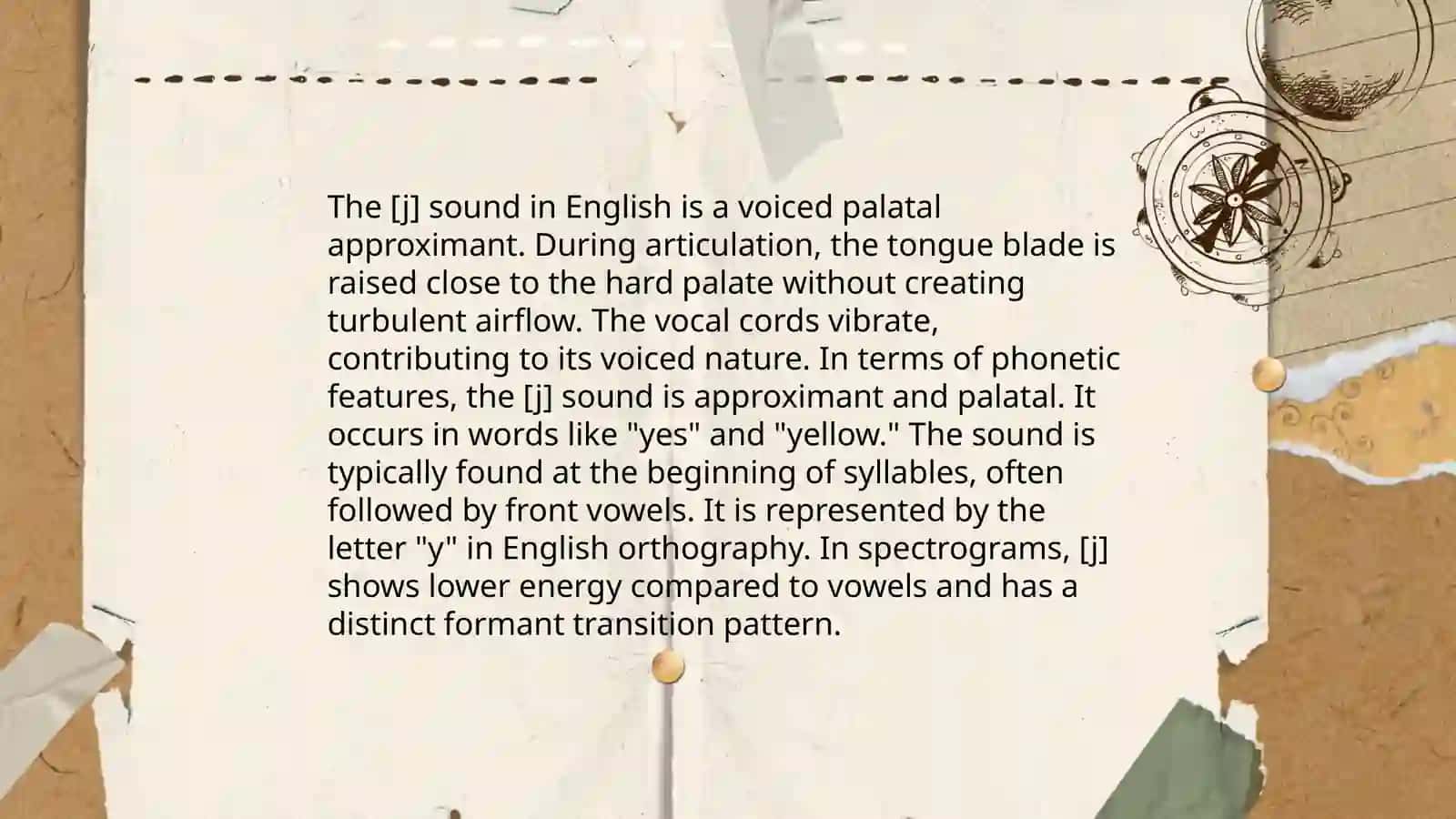 English mediolingual consonant phoneme [j] in comparison with the Uzbek [y] 3