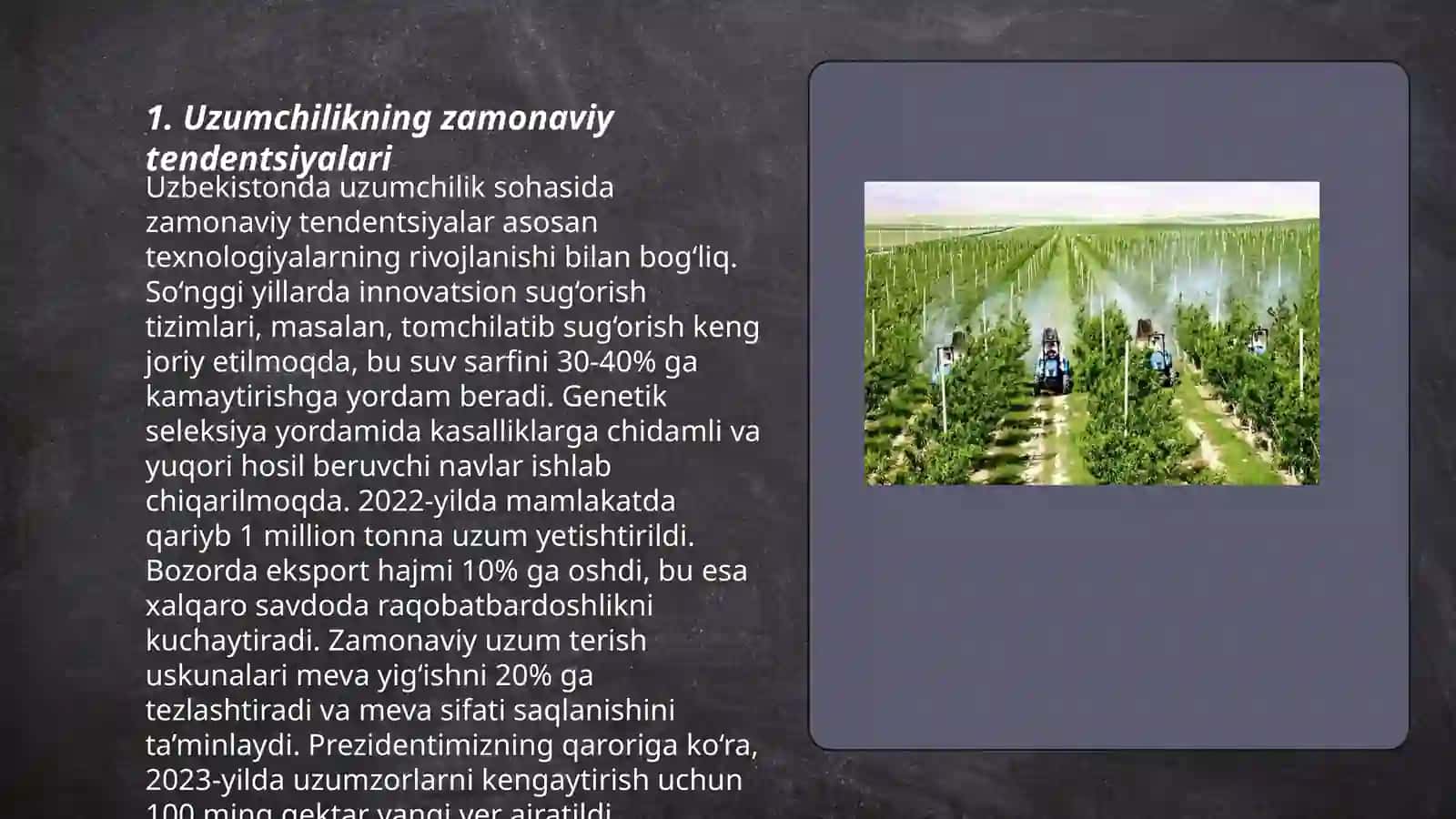 uZumchilik va sharobchilikning hozirgi axvoli 3