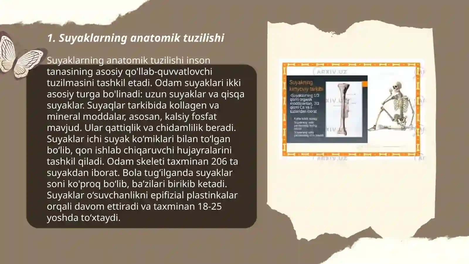 Suyaklarning tasnifi haqida ma'lumot 3
