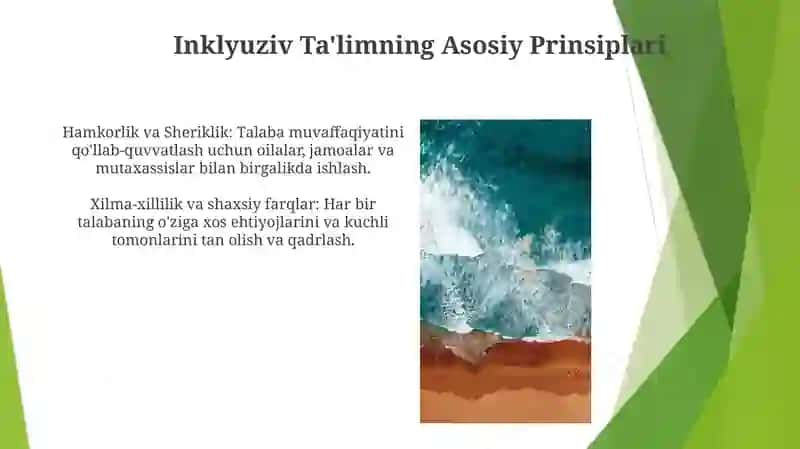 Avstraliya davlatidagi inklyuziv taʼlim tizimini oʻrganish 3