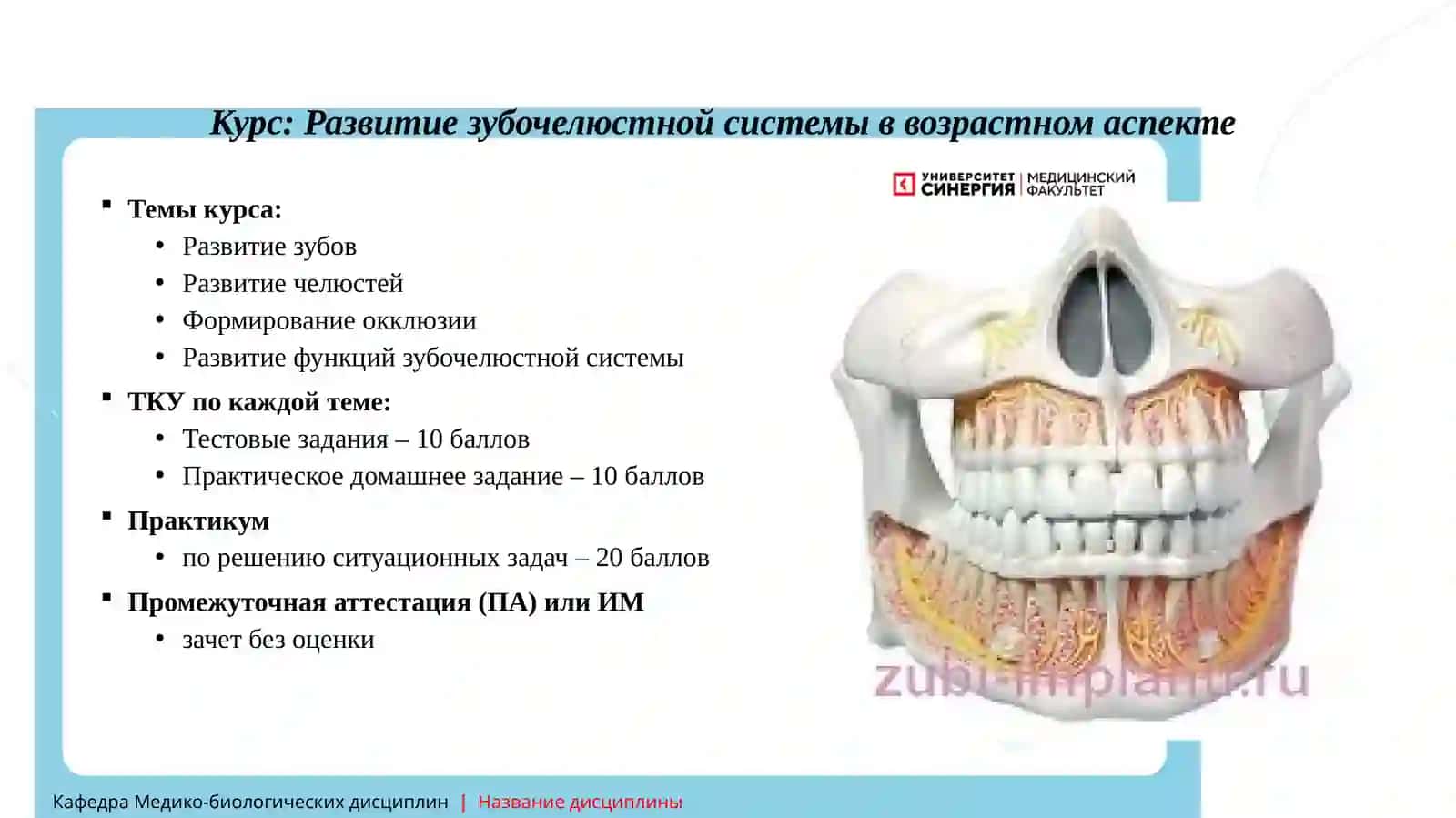 Развитие зубочелюстной системы в возрастном аспекте 3
