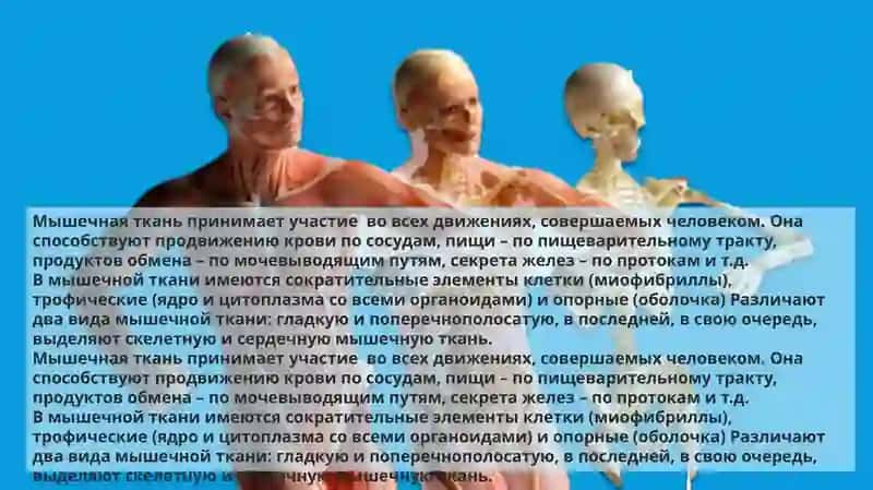 Влияние физических упражнений на мышцы 3