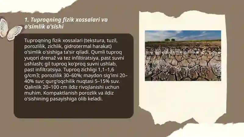 Tuproqning fizik xossalari va o'simlik o'sishi 3