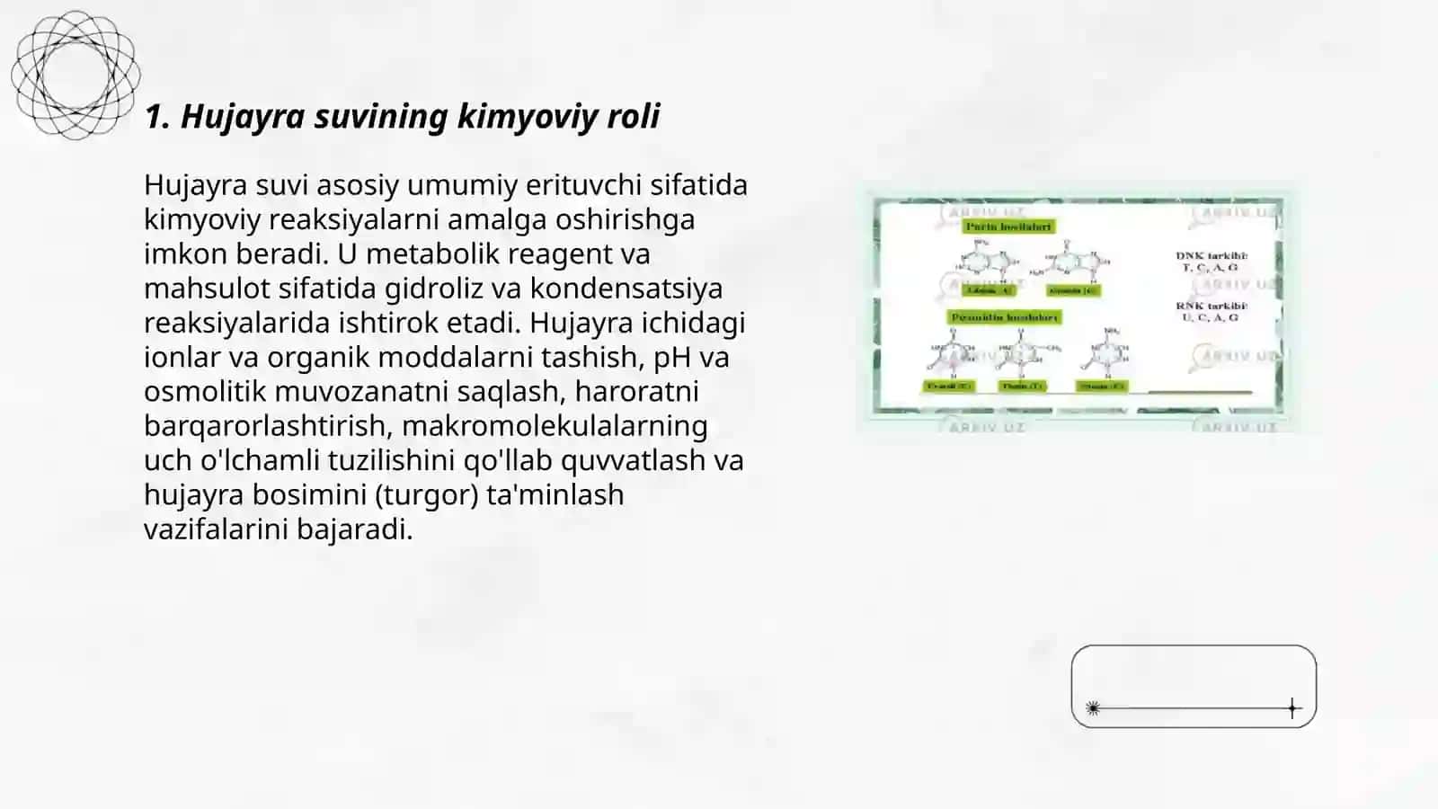 Hujayraning kimyoviy tarkibi 3