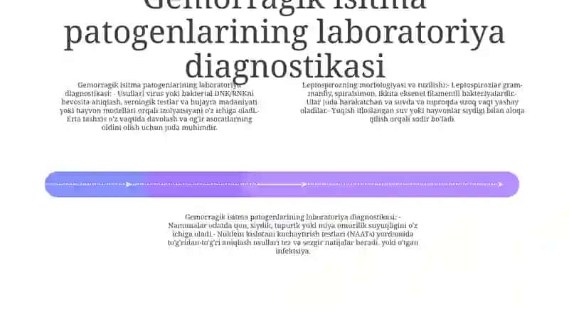 Leptospirozlar Morfologiyasi, tuzilishi 3