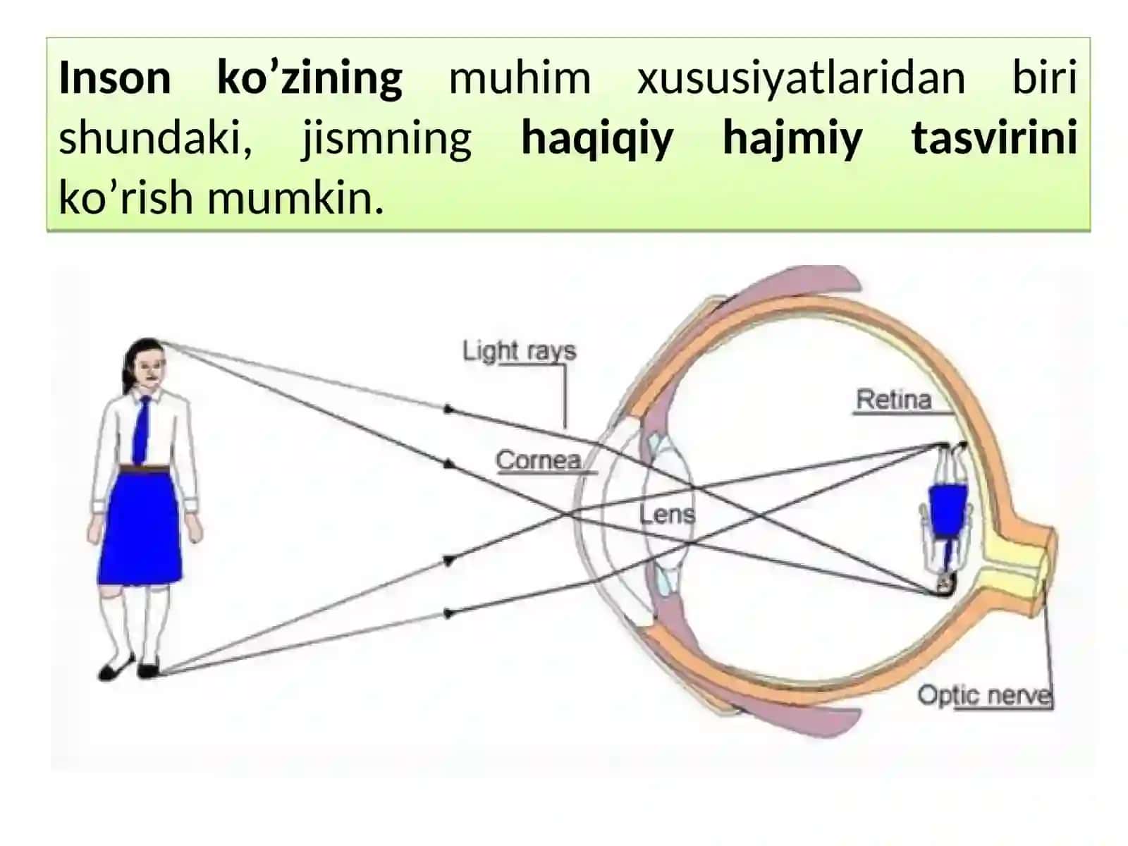 Golografiya. Golografiyaning fizik asoslari 3