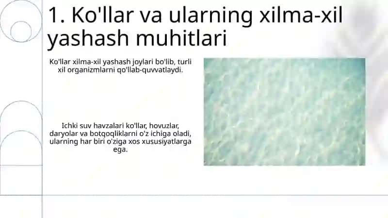 Ichki suv xavzalarining asosiy tiplari va ular organizmlarning yashash muhiti sifatida 3