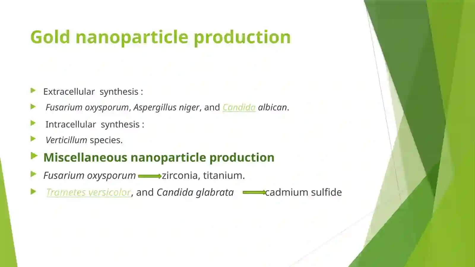 Synthesis of nanoparticles by fungi 3
