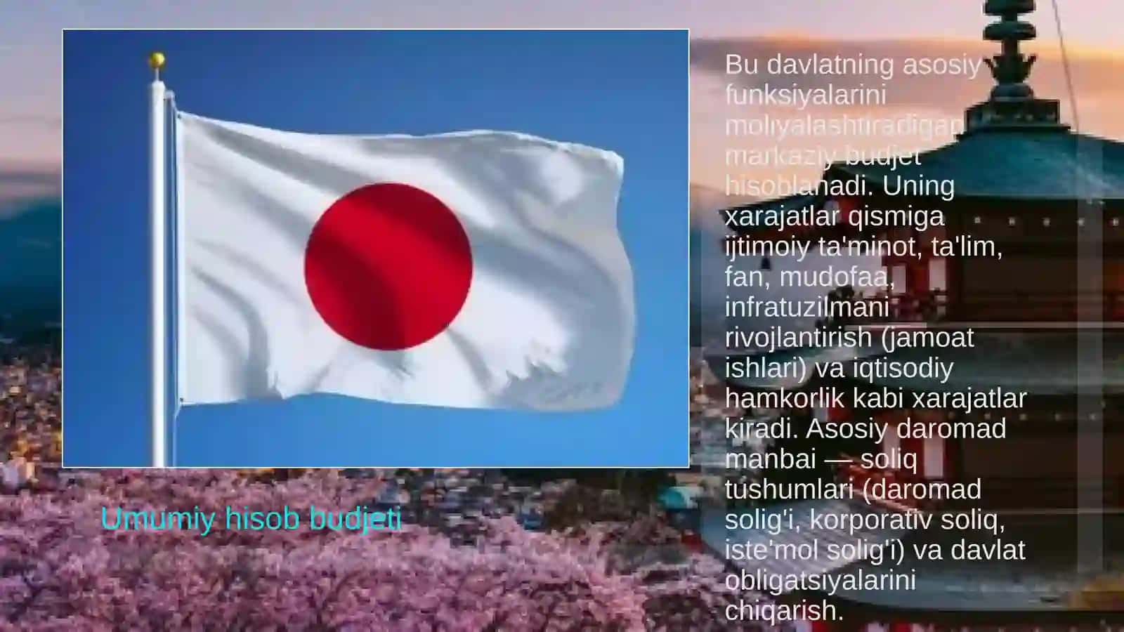 YAPONIYA IQTISODIYOTI. YAPONIYANING BYUDJET SIYOSATI. Yaponiya 3