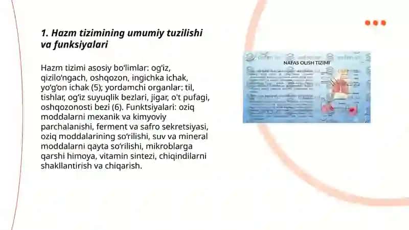 HAZM TIZIMINING A’ZOLARI. NAFAS OLISH TIZIMI 3