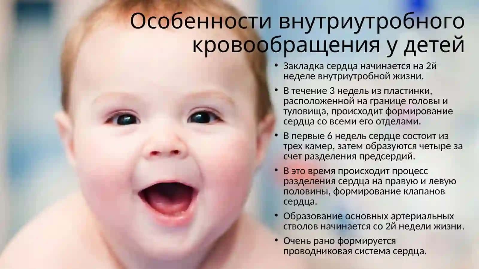 Анатомо – физиологические особенностисердечно – сосудистой системы детей 3