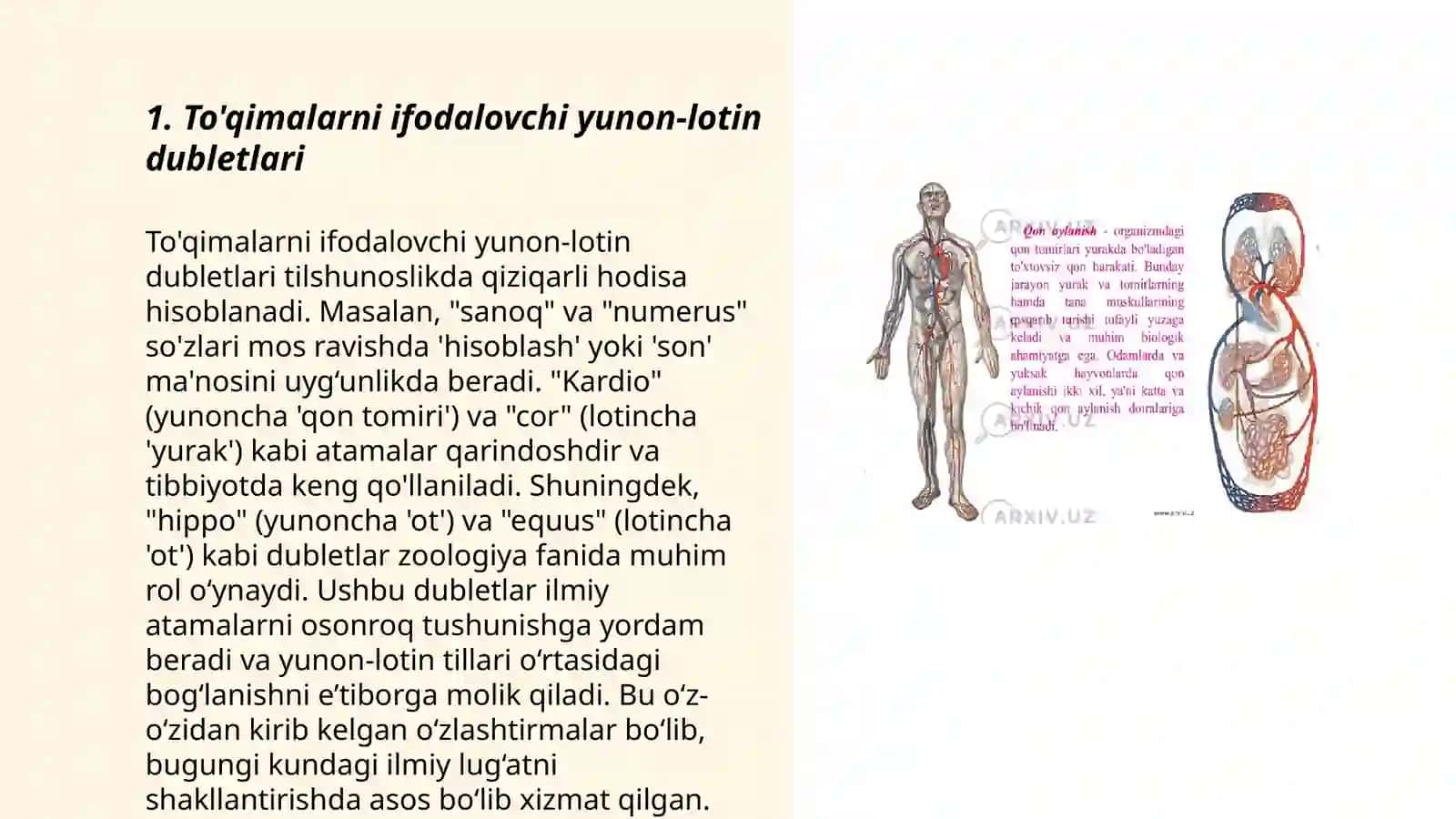 Yunon-lotin dubletlari va yakka AE lari 3