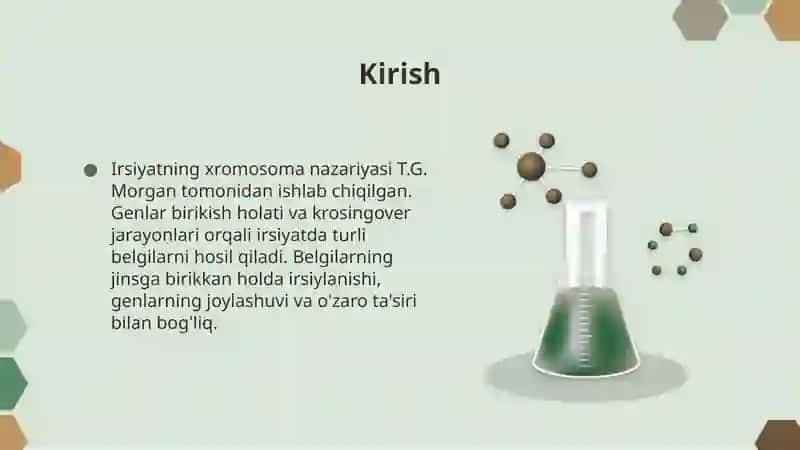 Irsiyatning xromosoma nazariyasi.T.G.Morgan. Genlarning birikish holati, krosingover. Belgilarning jinsga birikkan holda irsiylanishi 3