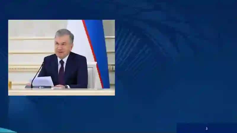 Kichikbiznes va xususiy tadbirkorlik 3