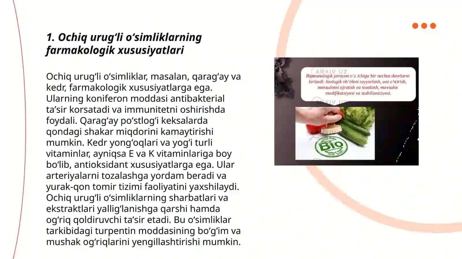 Ochiq urugʻli oʻsimliklarning ahamiyati dorivorligi zaharligi 3