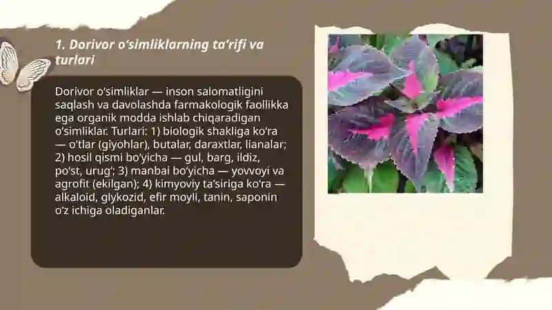 Dorivor oʻsimliklar."Tabiatning beqiyos ne'matlari" 3