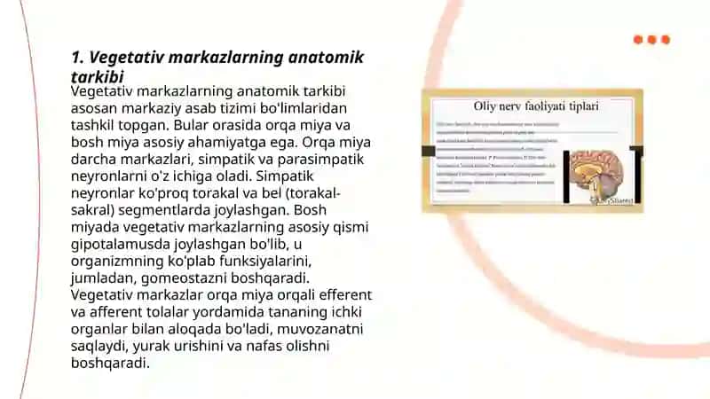 Vegetativ oliy markazlar va ularning funksional ahamiyati 3
