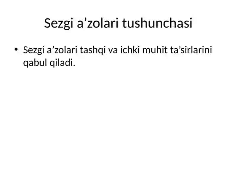 Sezgi a’zolari 3