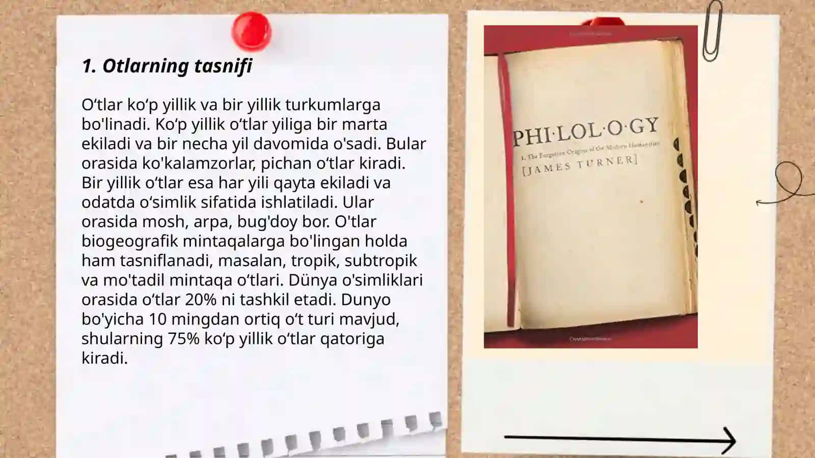 Ot so’z turkimi va unga hos kategoriyalar 3