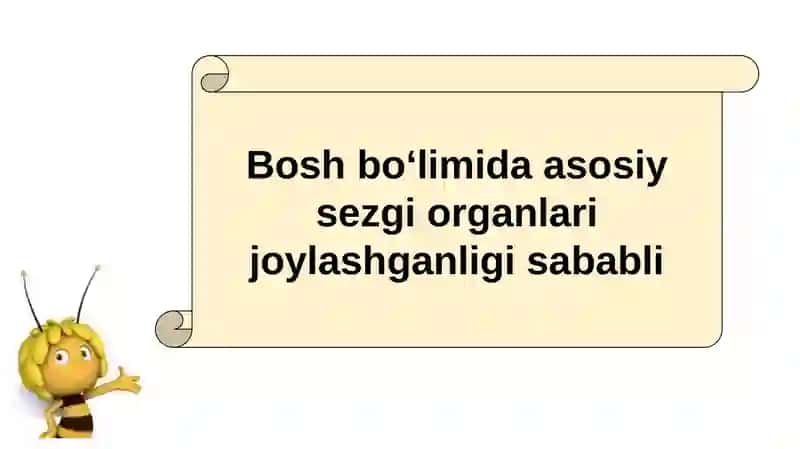 HAYVONLARNING TANA QOPLAMLARI VA HARAKAT ORGANLARI EVOLUTSIYASI 3