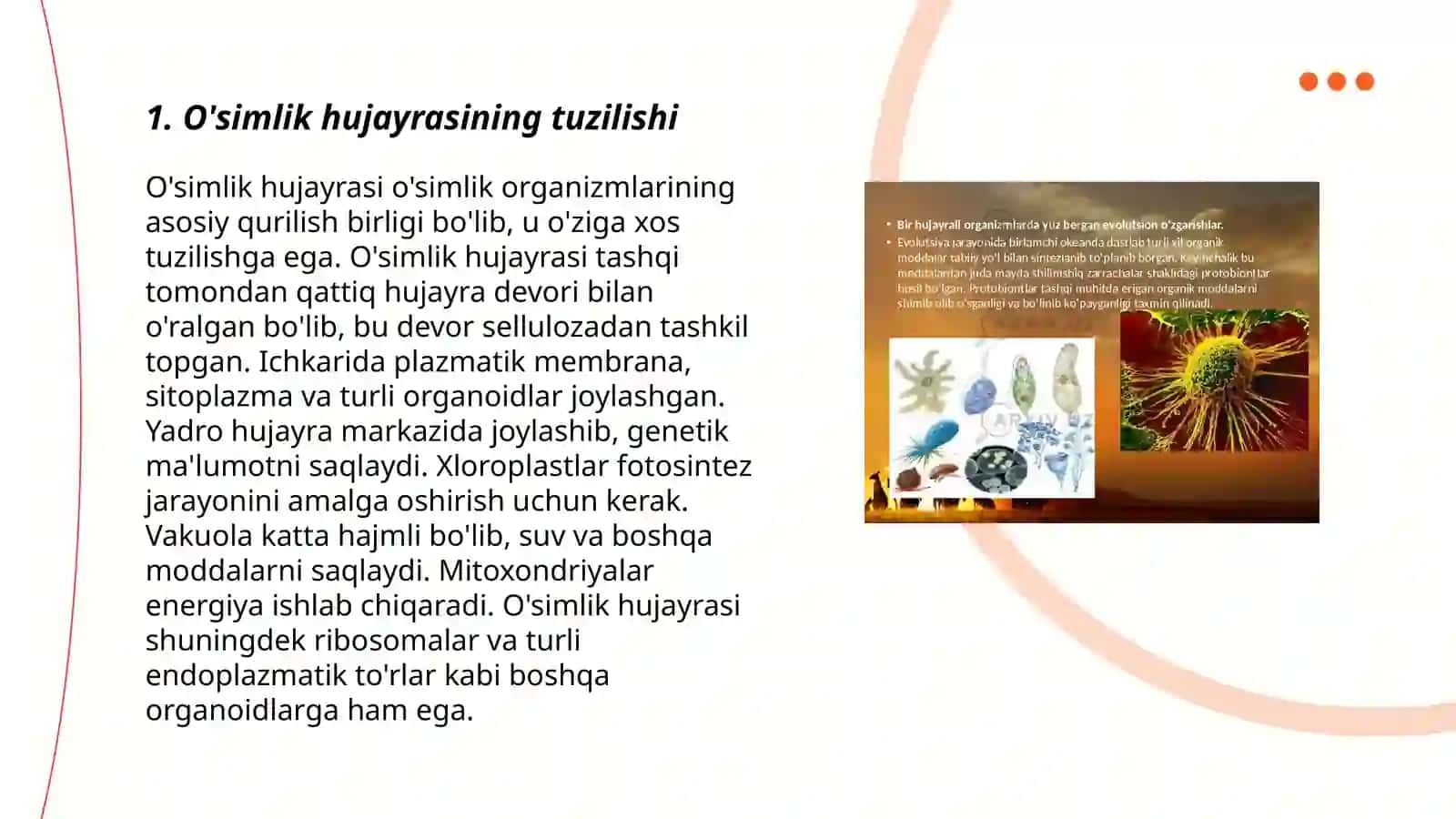 O'simlik va hayvon hujayrasining farqli va o'xshashlik belgilari 3