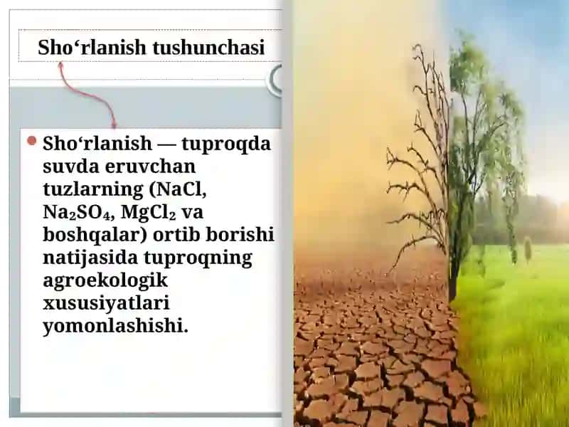 Ekologiya va atrof muhit muhofazasi ta'lim yo'nalishi 3