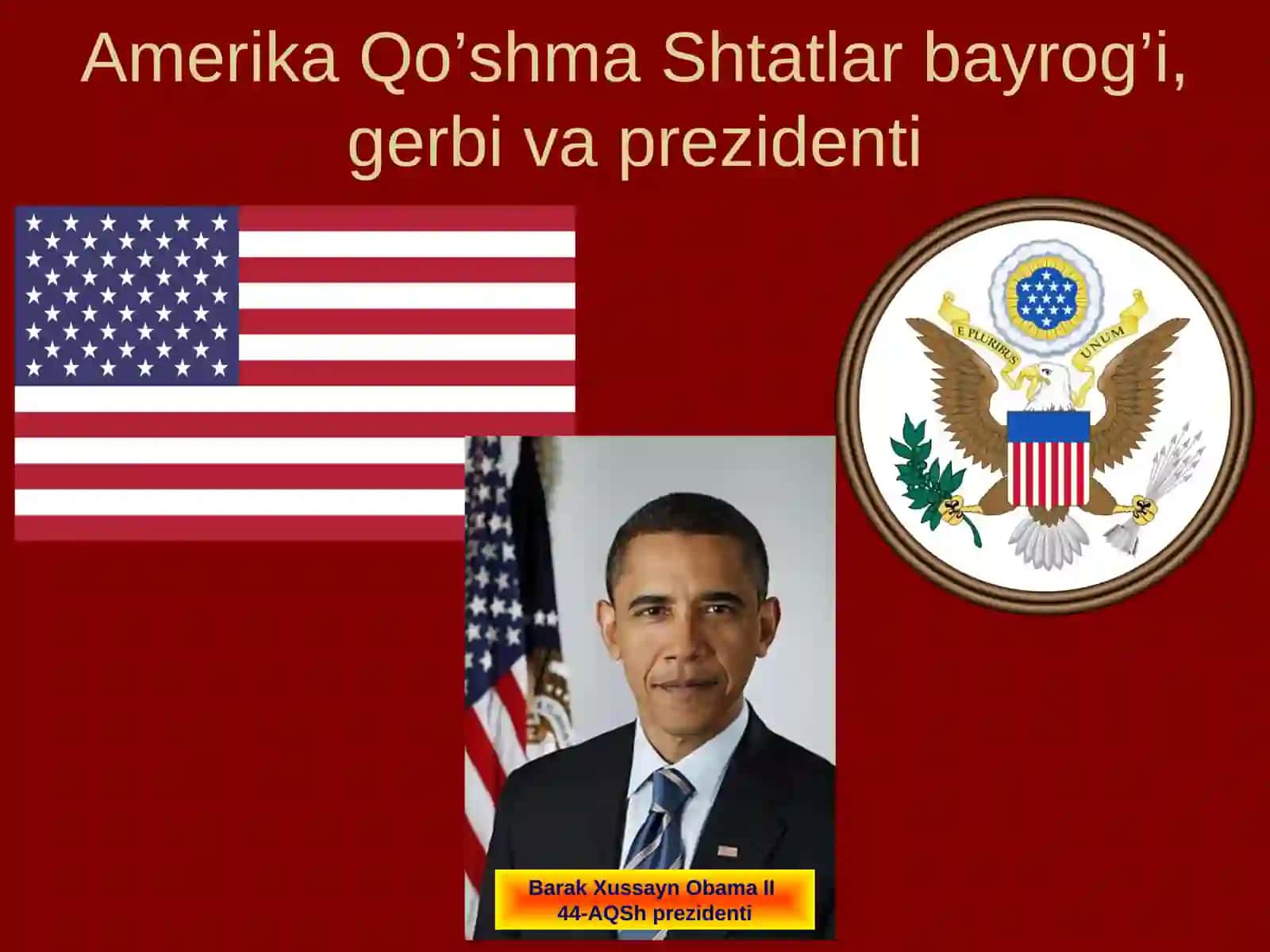 AMERIKA QO’SHMA SHTATLARI 3