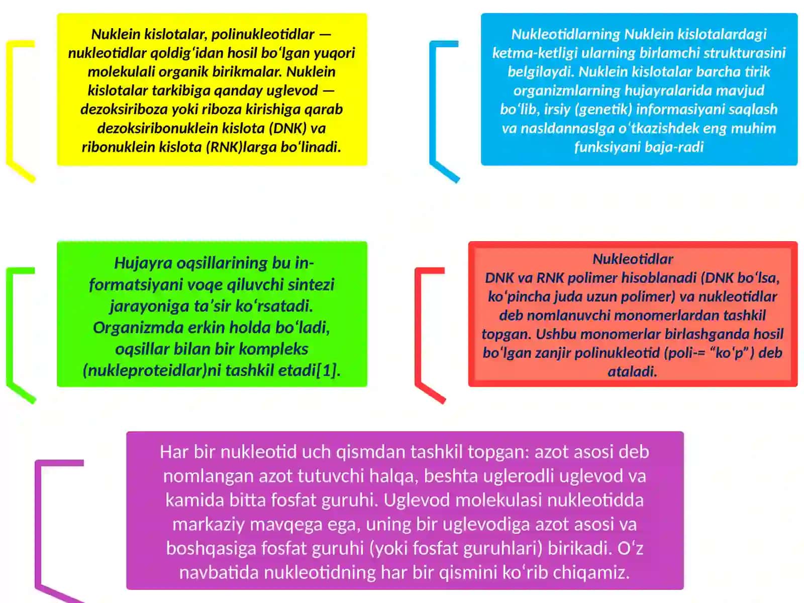 KarimxonovaFarzonaxon biokimyofanidan "Nukleinkislotalar. DNK va RNK. RNK protsessingi." mavzusidagi taqdimoti 3