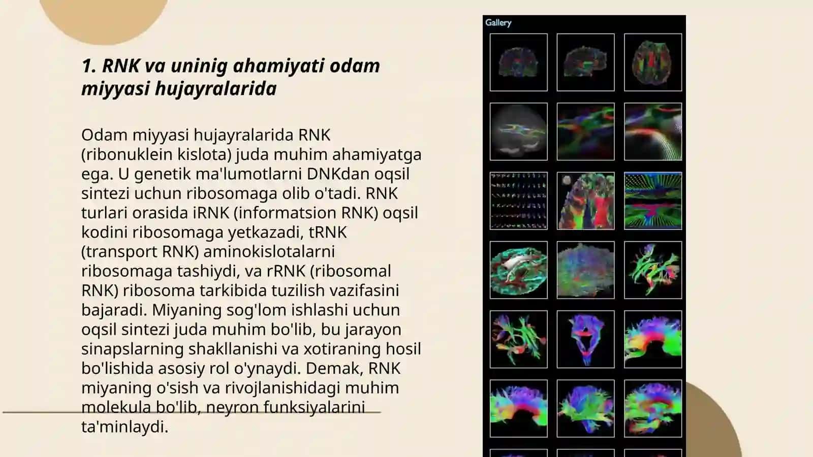 Odamsa miyyasi hujayralaridagi RNKning tahlili 3