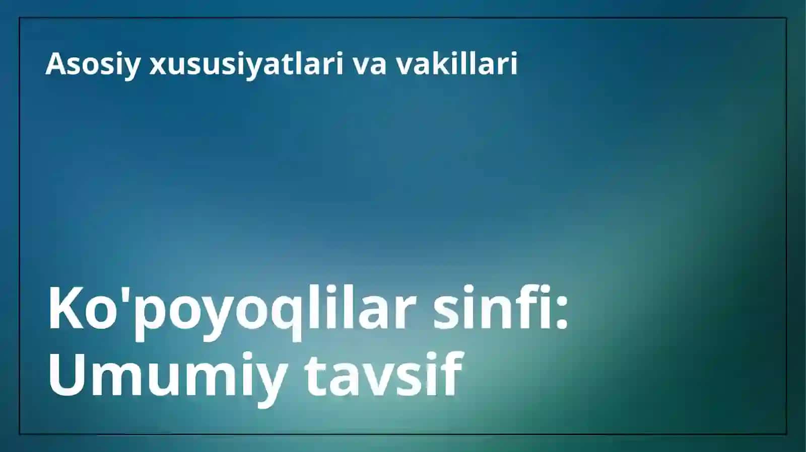 Ko‘poyoqlilarsinfitavsifivaasosiyvakillari 3