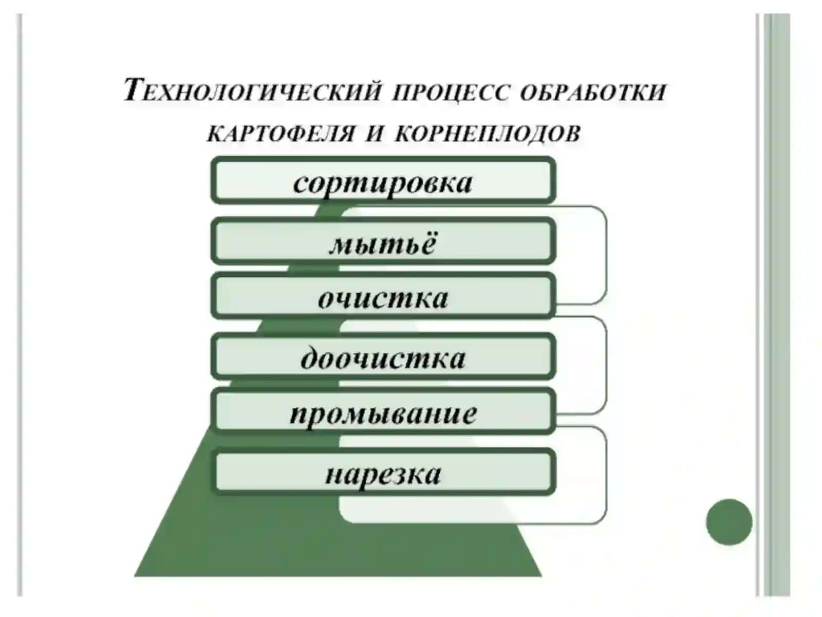 Технологические линии и машины для предварительной обработки плодо-овощных продуктов 3