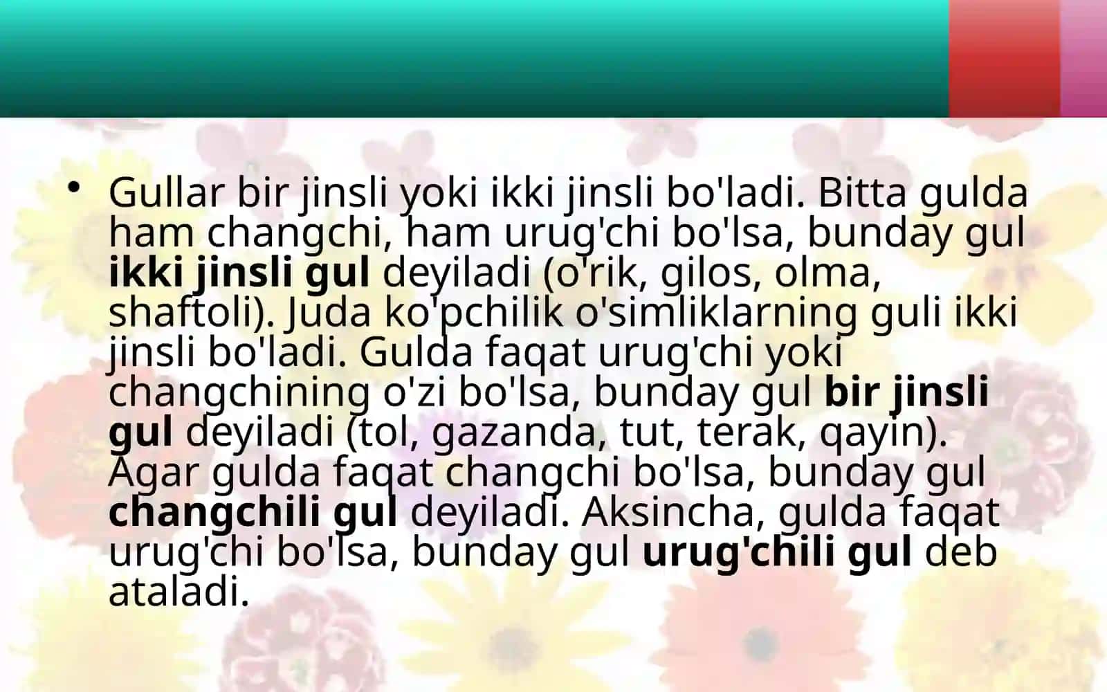 GULLARNING XILMA-XILLIGI 3