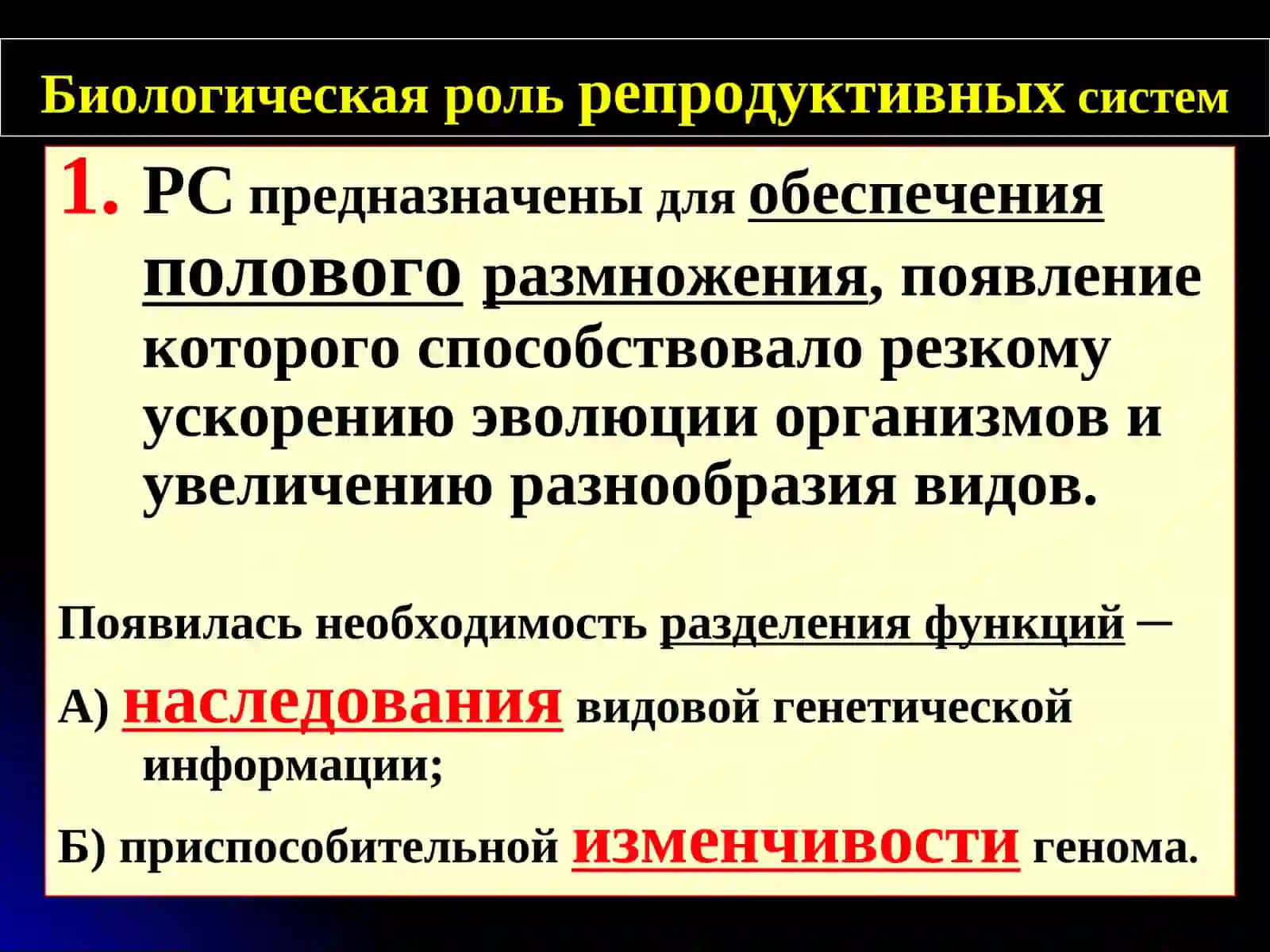 ЖЕНСКИе и МУЖСКИе половые системы (стоматологический факультет НГМУ) 3