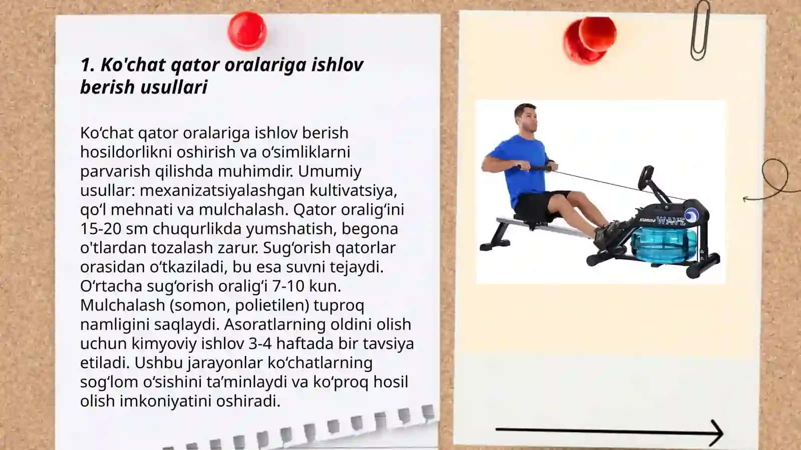 Ko'chat qator oralariga ishlov berish mashinalari 3