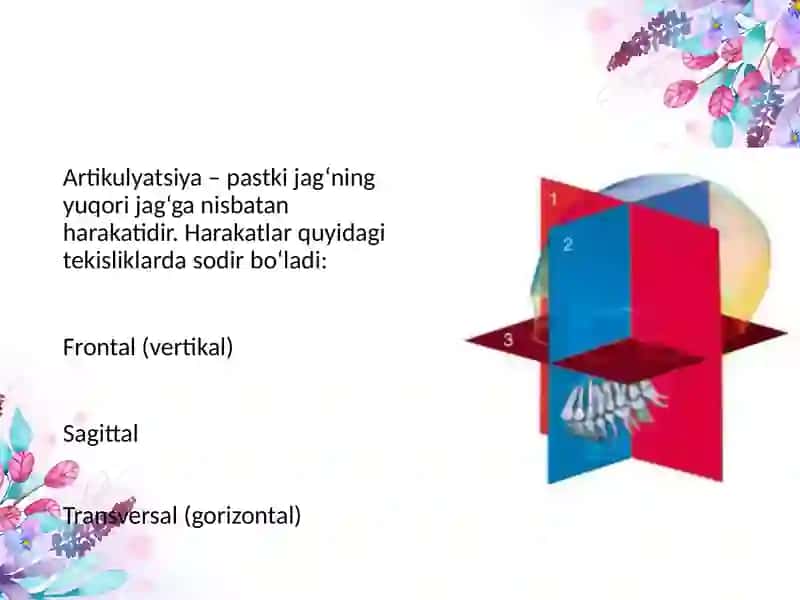 Artikulatsiya va okklyuziya 3