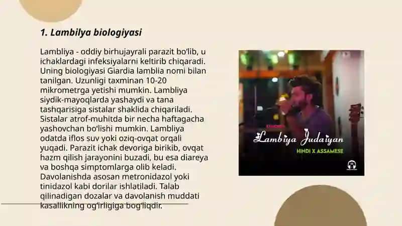 Lambilya 3