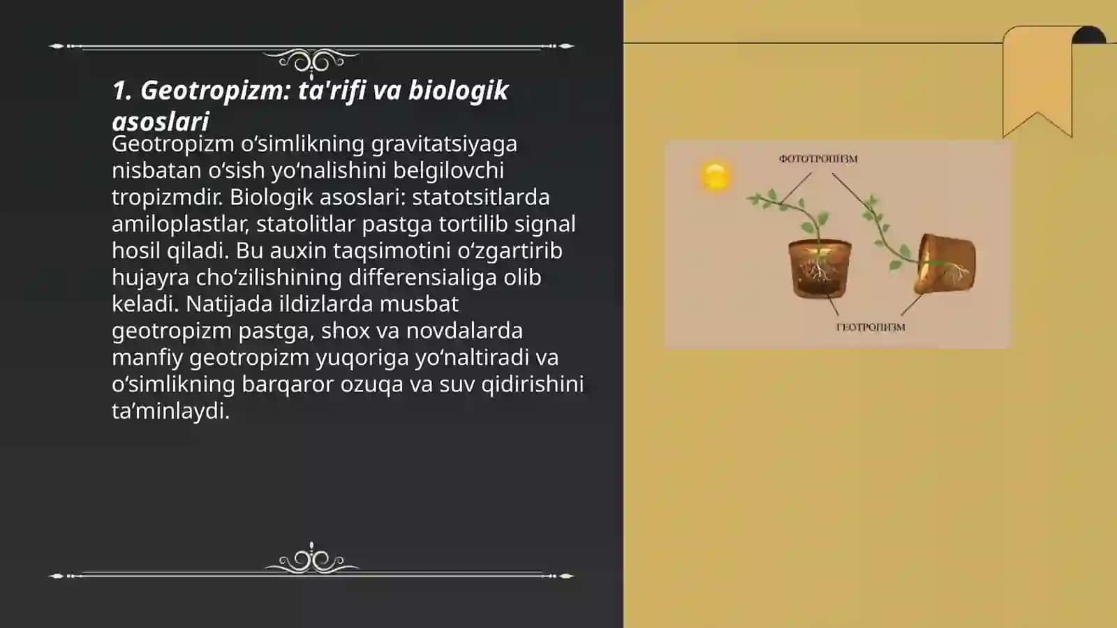 Geotropizm tigmotropizm fototaksis fototropizm hodisasa 3