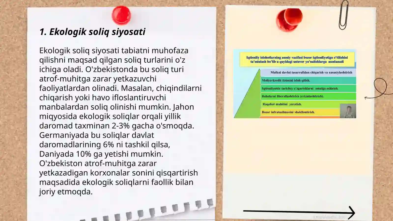 Iqtisodiyotni yashillashtirishning iqtisodiy vositalari 3