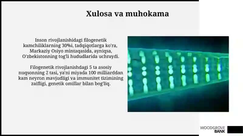 Inson Rivojlanishidagi Filogenetik Kamchiliklar 3
