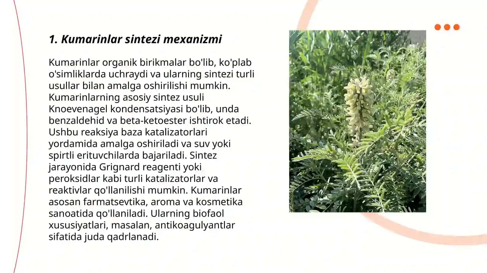 Kumarinlar biosintezi.Katta kella o'simligi 3