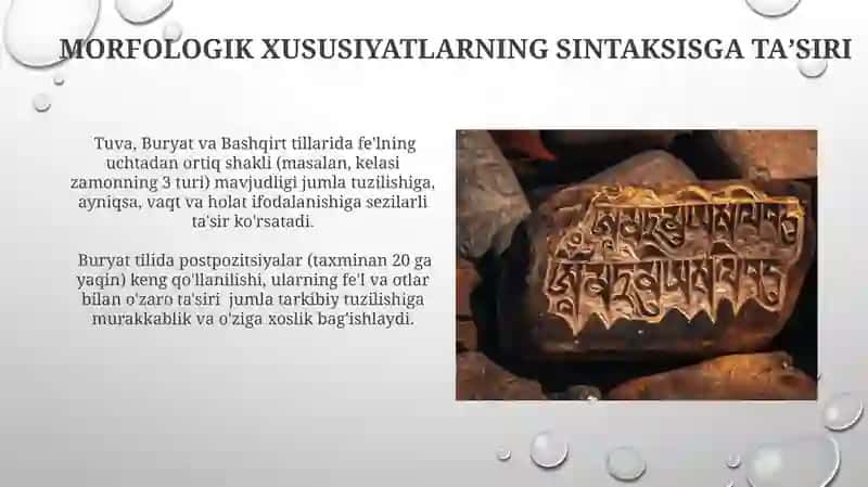 Tuva, Buryat va Bashqirt tillarining oʻziga xos sintaktik xususiyatlari 3