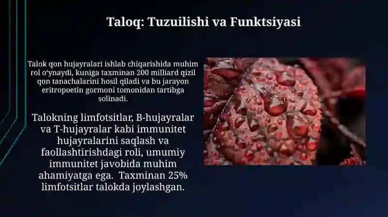 Pereferik qon yaratuvchi va immune a'zolari 3
