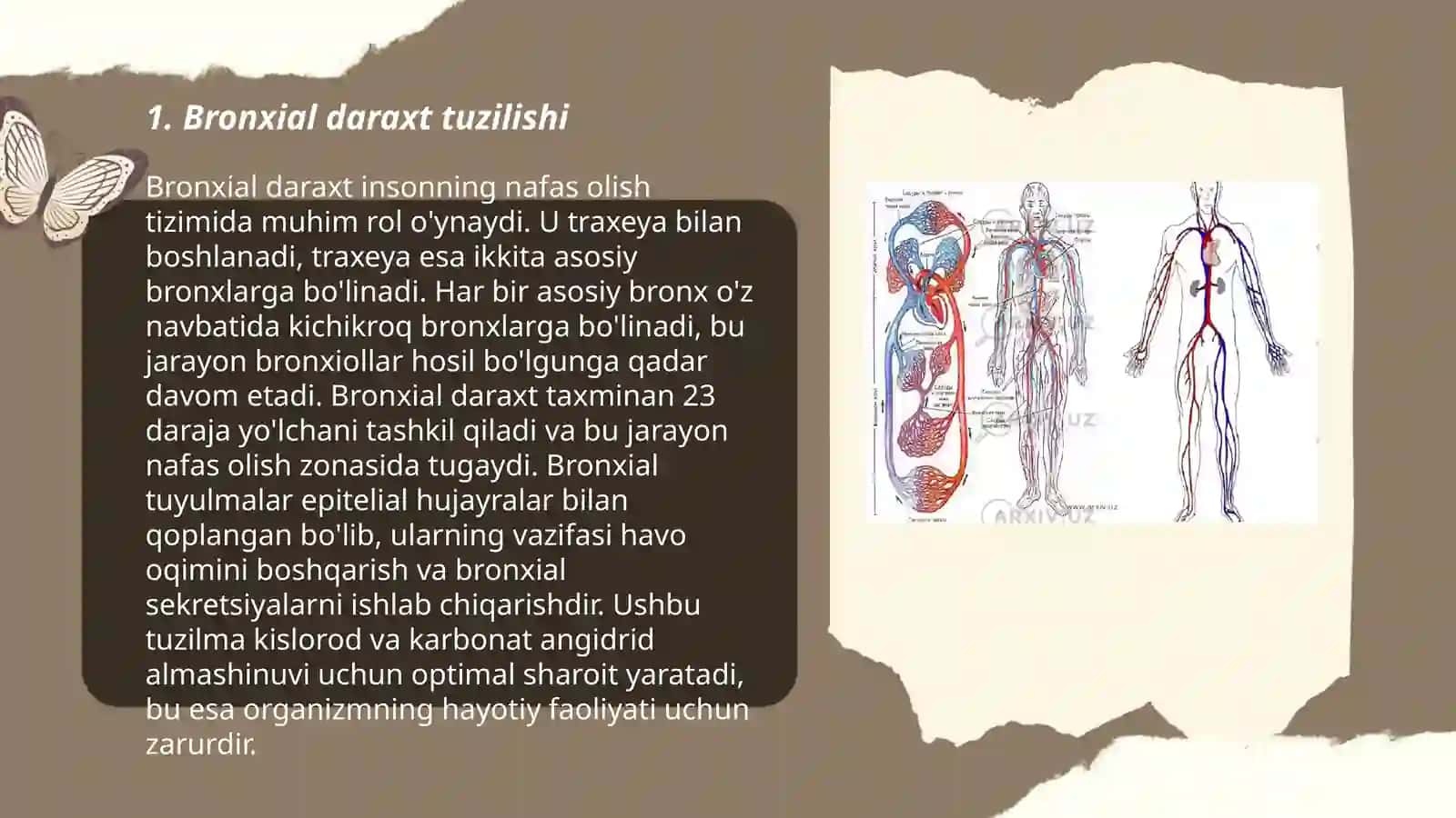 Taqdimotlar - Havo-qon tŏsiqning tuzilishi va patologiyasi 3