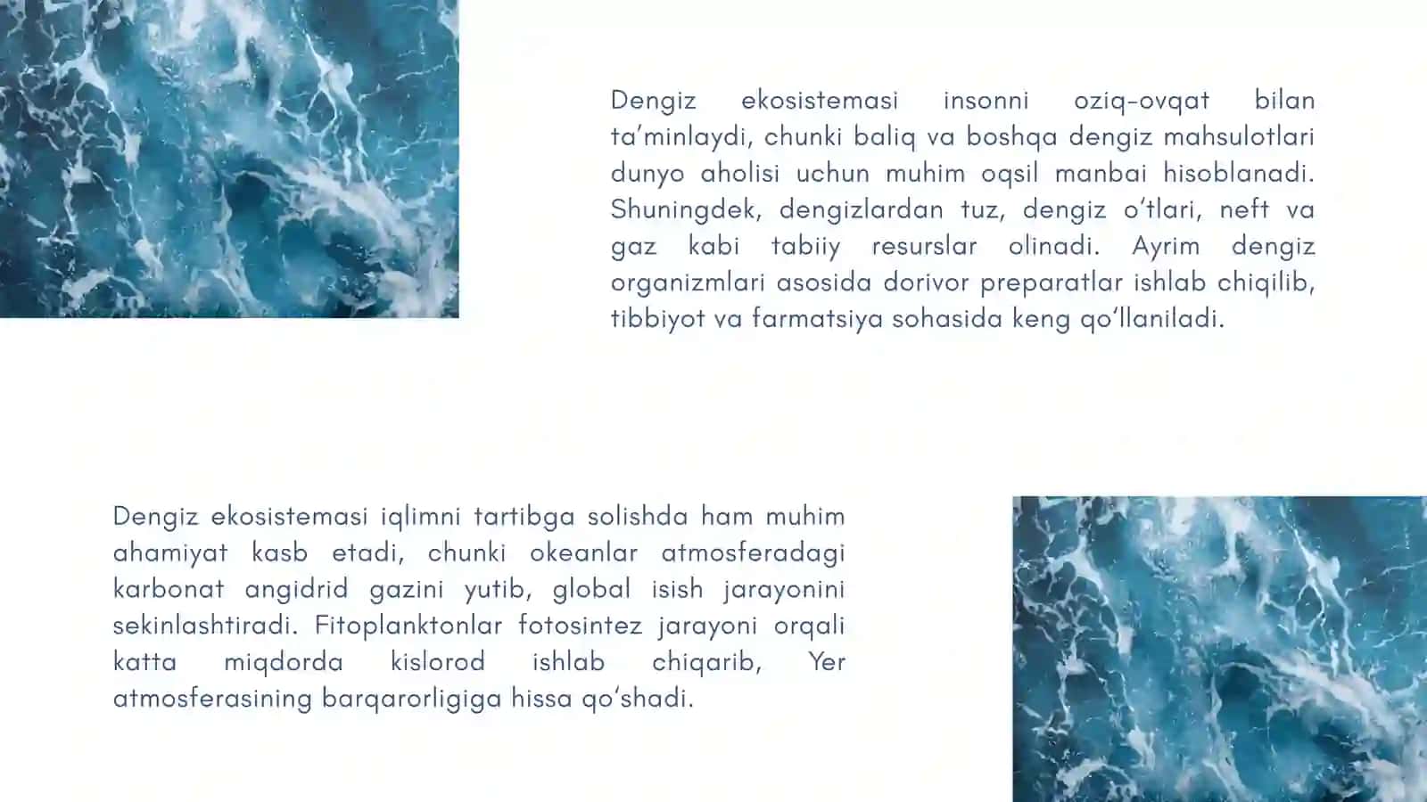 Dengiz sistemasi. Xizmatlari 3