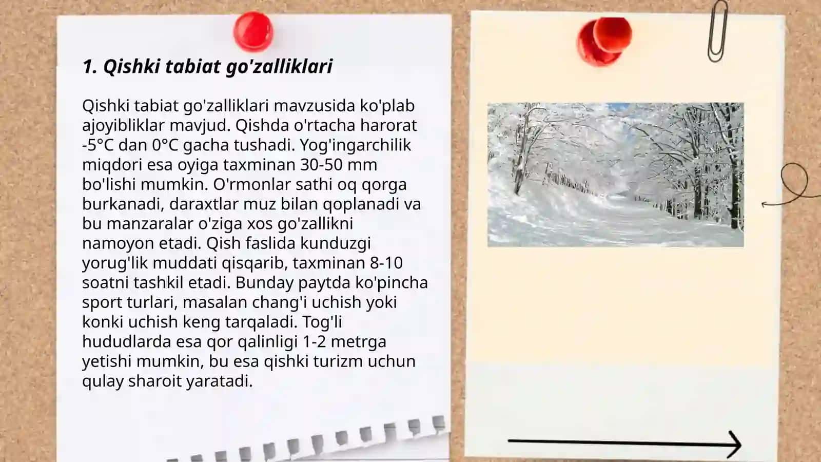 Qish zavqi 3