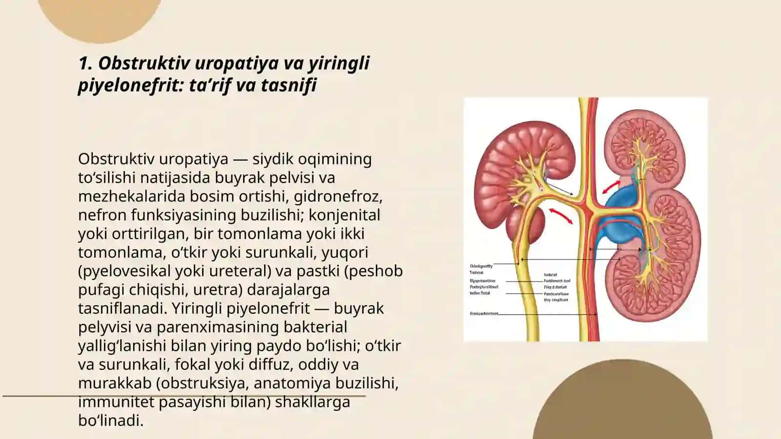 Obstruktiv uropatiya, yiringli piyelonefrit 3