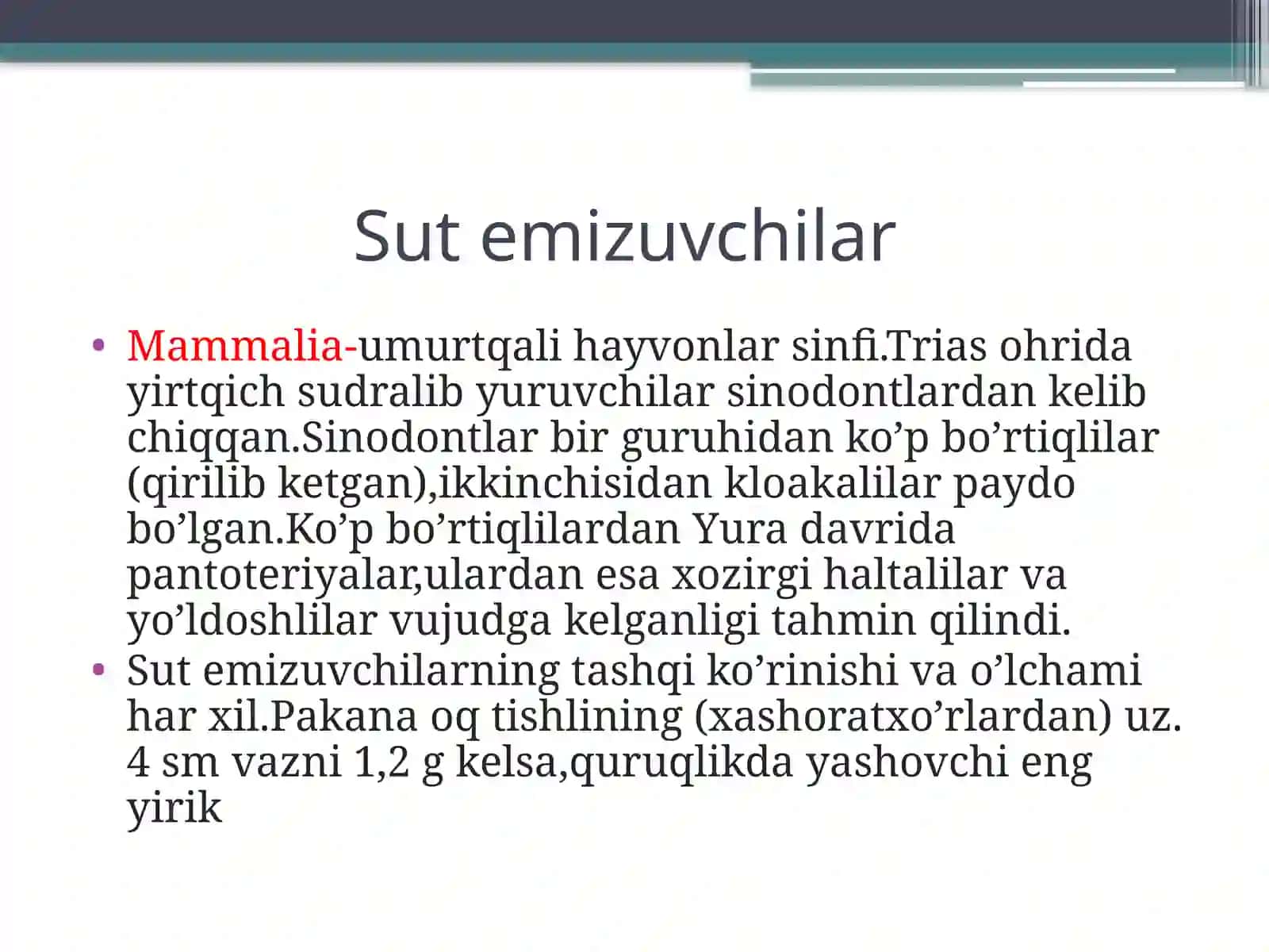 Ayiq haqida umumiy ma’lumot 3