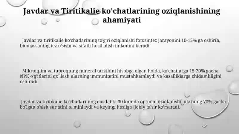 Javdar va Tiritikalie oziqlanishi 3