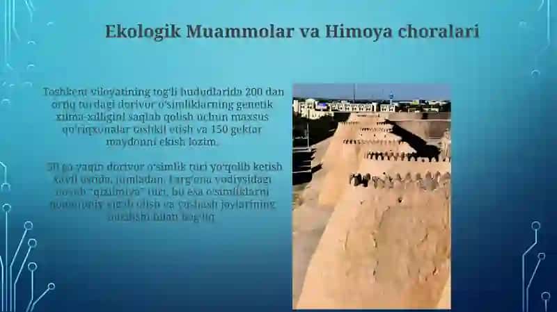 O’zbekistondagi shifobaxsh òsimliklari 3